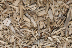 biomass boilers Wood Walton